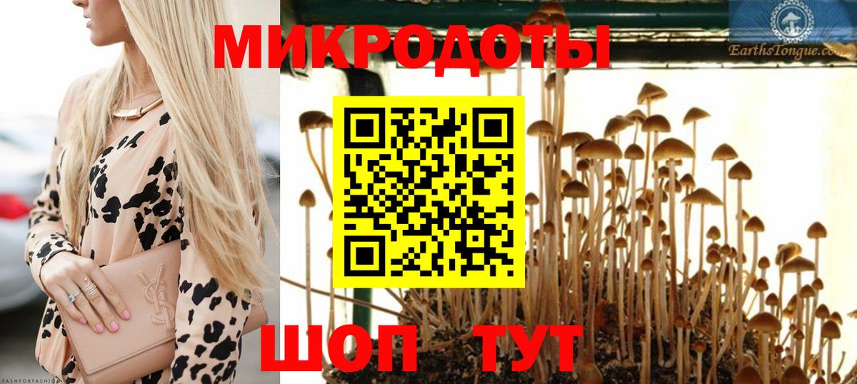 Псилоцибиновые грибы MAGIC MUSHROOMS  Вход с VPN  Белебей  Псилоцибиновые грибы Psilocybine cubensis 