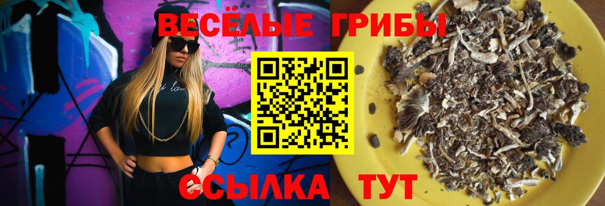 Псилоцибиновые грибы ЛСД Белебей