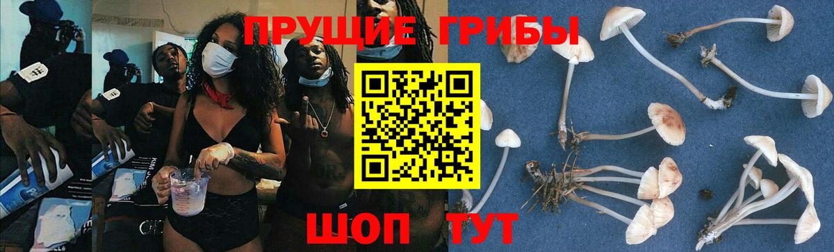 ГАШ  Вход с VPN  Белебей  Меф МЯУ МЯУ   Бошки Шишки 